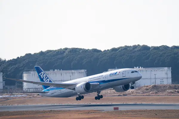 Boeing 787-8