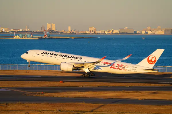 冬の西日を浴びたJAL機✈️
