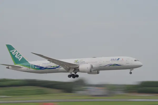 ANAの葉っぱ塗装機🌱