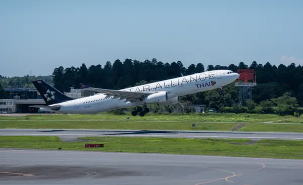 タイ航空のスタアラ塗装機😄