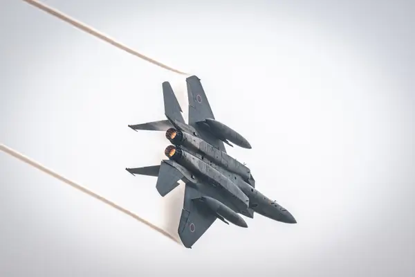 F-15のすごい機動飛行😳
