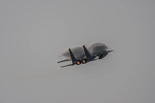 白い羽が生えたF-15😊