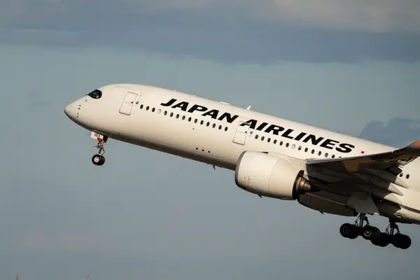 たぬき